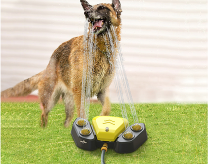 Automatic Outdoor Dog Water Fountain