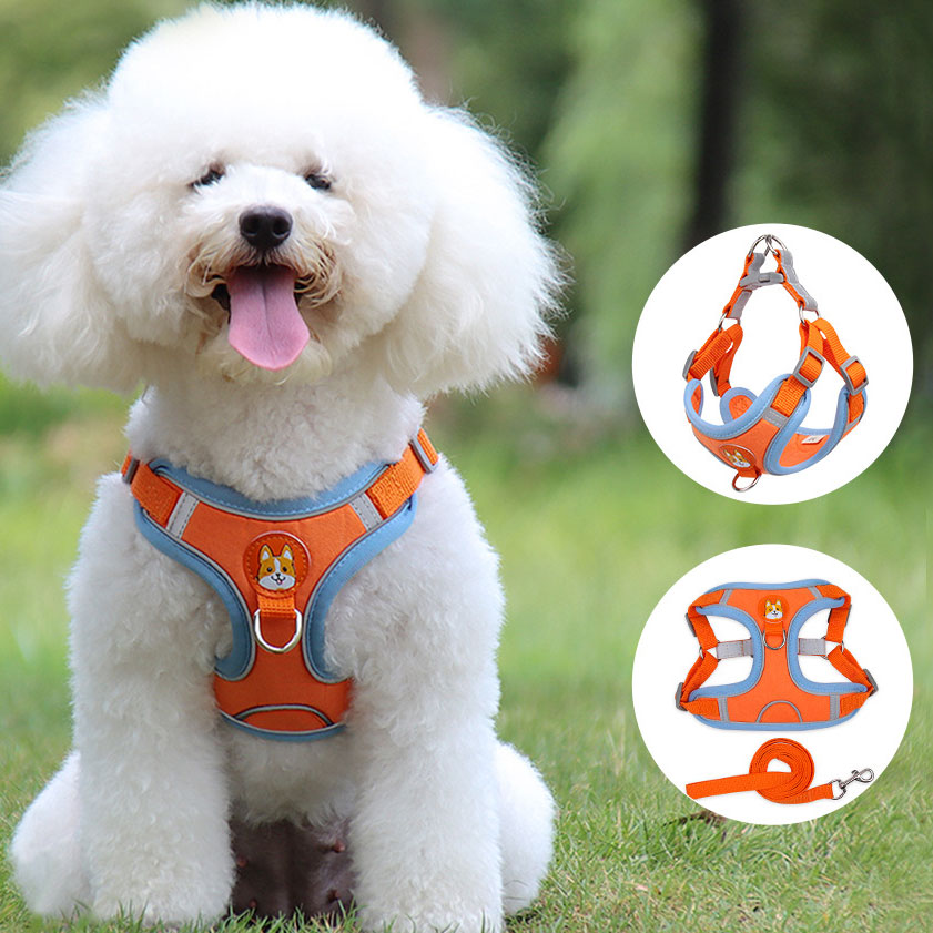 Dog Harness with Leash Set