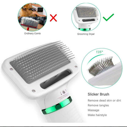 Pet Electric Hair Dryer